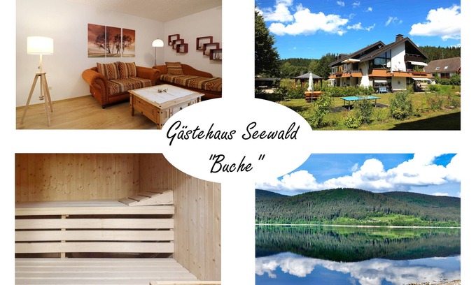 Blasiwald Apartment | Vacation apartment/apartment for 3 guests with 50m² in Schluchsee (268611)