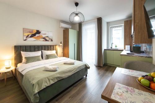 Baia Mare Apartment | Velunia Residence