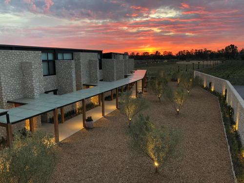 San Miguel de Allende Hotel | Viñedos San Francisco