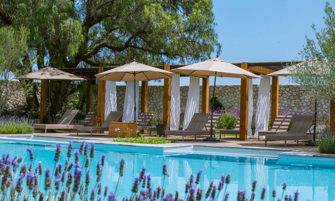 San Miguel de Allende Hotel | Viñedos San Francisco