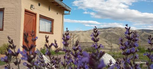 Potrerillos Ski Chalet | Vidatierra