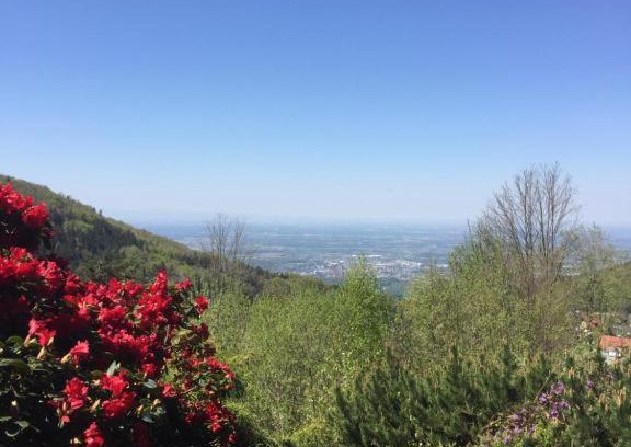 Sasbachwalden Apartment | View from the Rock