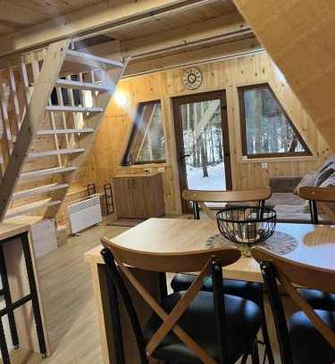 Zabljak House | Vila Djordje Žabljak