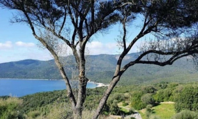 Serra-di-Ferro Villa | Villa 4 to5 pers T2 climatisée dans résidence vue mer * piscine chauffée.
