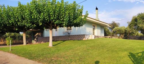 Pyrgos Villa | Villa Chryssi