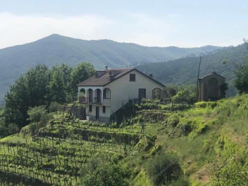 Mezzanego House | Villa ELENA