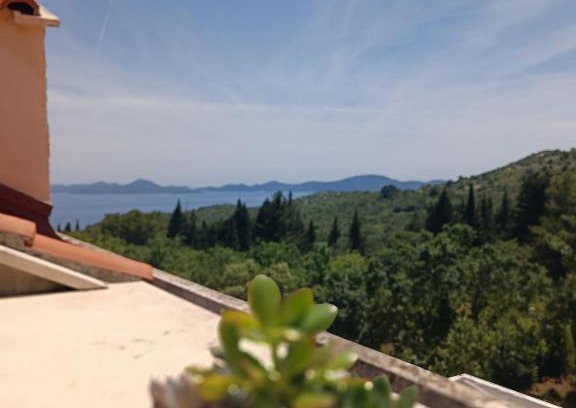 Kobas Apartment | Villa Fragola 2