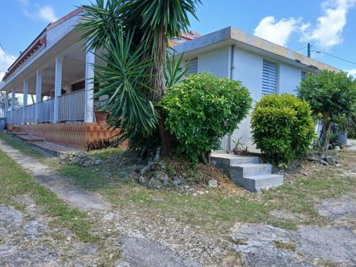 Sainte-Anne House | Villa Havre des Tropiques