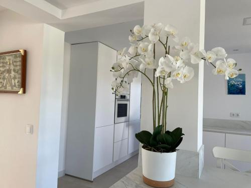 Javea Villa | Villa Javea House El Cipres