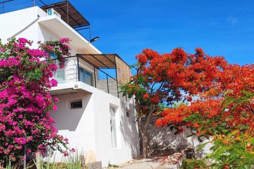 Antsiranana Villa | Villa Les Flamboyants