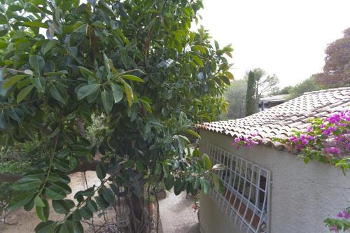 Altea Villa | Villa Los Pinos