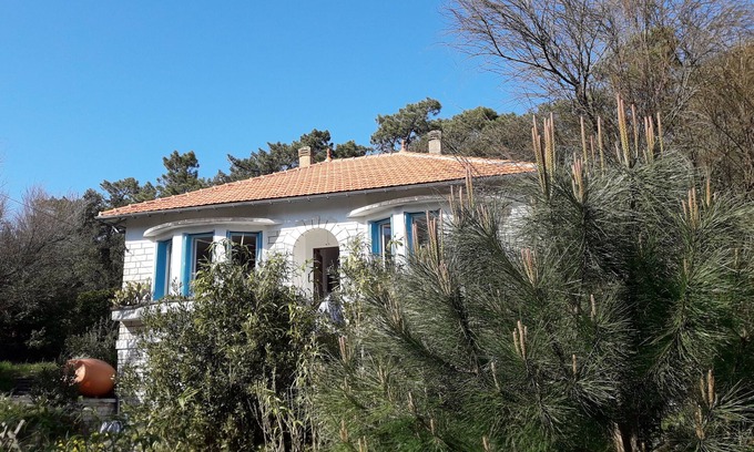 Domino House | Villa Nymphéas