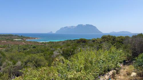 Porto Istana Villa | Villa Pony