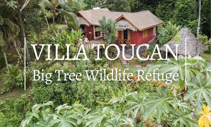 Punta Uva Villa | Villa Toucan with National Geographic Views