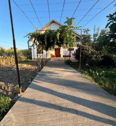 Shkoder Villa | Villa Vucaj
