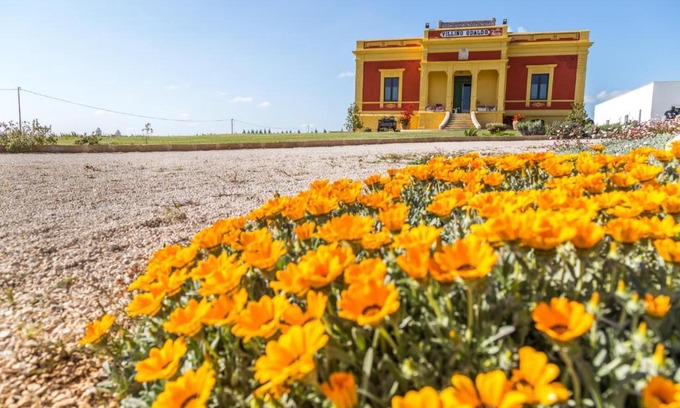 Mottola House | Villino Odaldo