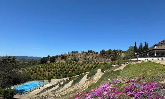 Temecula House | Vineyard Farmhouse with Private Pickleball in Temecula