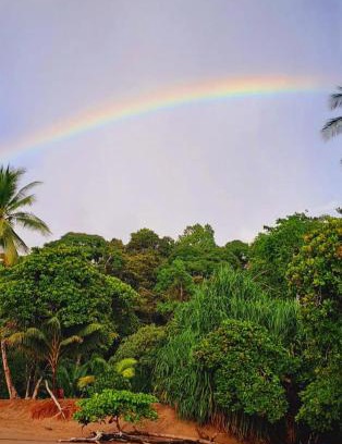 Drake Bay Hotel | Vista Alta Ecolodge Bahia Drake