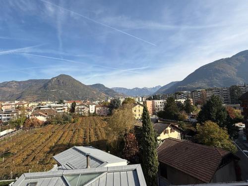 Gries - Quirein Bed & Breakfast | Vista Rosengarten