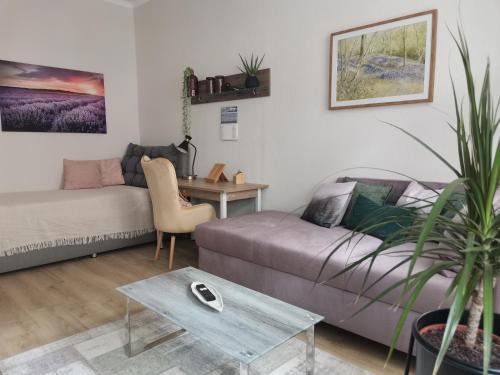 Plauen Apartment | VogelWarte - gemütlich, gut ausgestattet, zentrumsnah