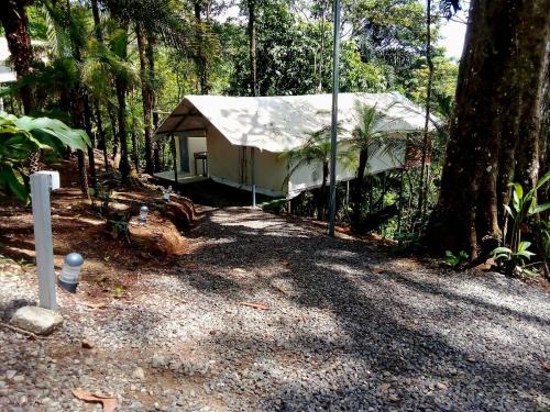 San Rafael de Guatuso Other | Volcano Tenorio Glamping Ranch - 3 Tents