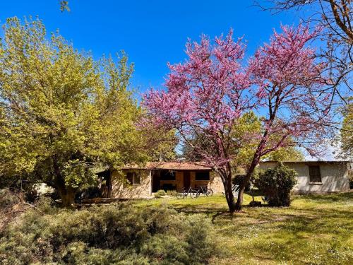 Pitigliano House | Volpe