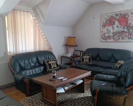 Vranje Apartment | Vranje City Center, Penthouse Delux Apartment