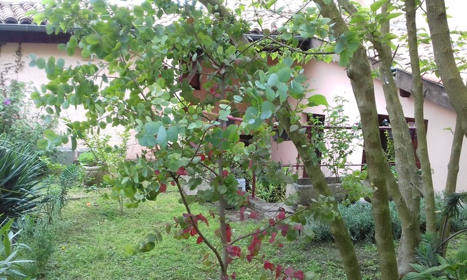 Colomiers Apartment | Vrbo Property