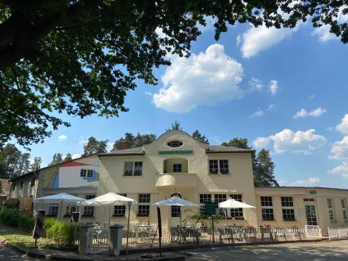 Wurlgrund Apartment | Waldwerk Wurlgrund Lychen