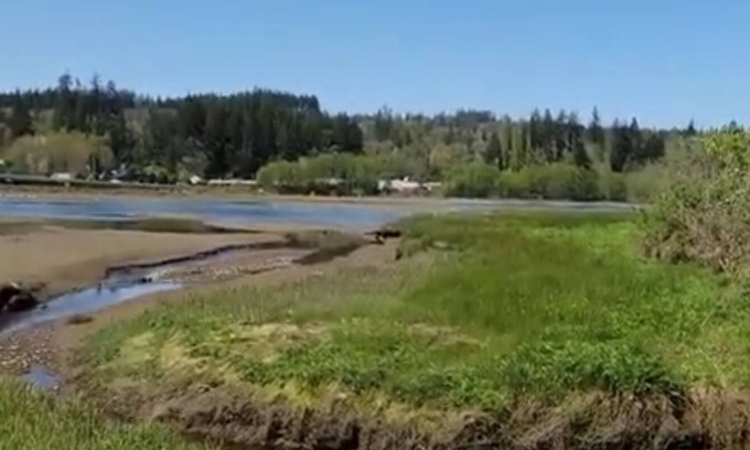 West Hills House | Walk to the Sound! From Fabulous RV with AC in charming Port Orchard!