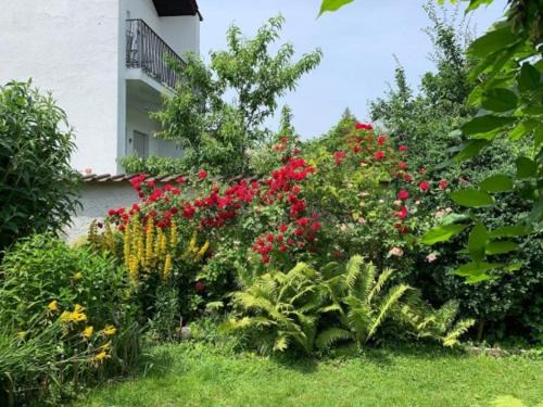 Hochzoll-Nord Apartment | WatzMannOG