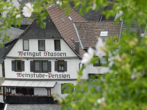Mainz-Bingen Hotel | Weingut Stassen
