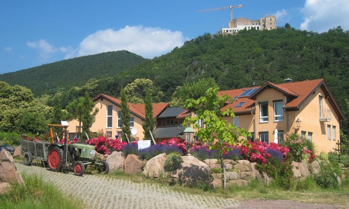 Neustadt-Hambach Bed & Breakfast | Weinhaus Paradies