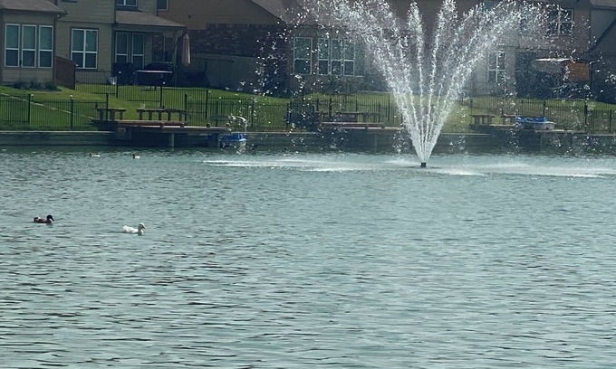 Katy House | Welcome home to a Lush welcoming space for you. Safe, Proximity to katy mills