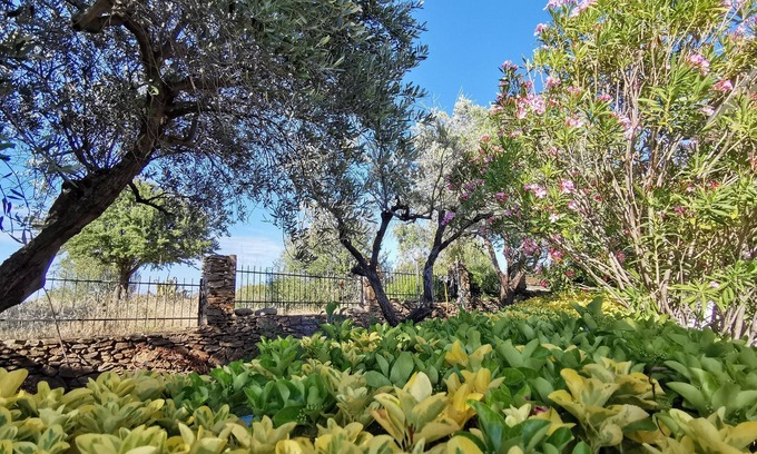 Limpiddu Apartment | Welcomely - La Casa Di Rita - Salamaghe