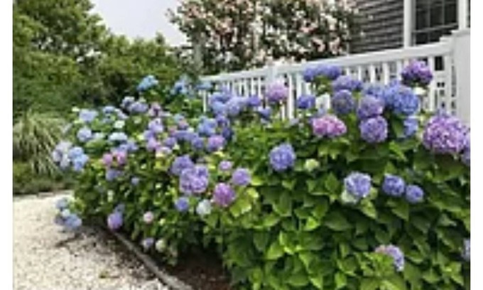 Madaket House | Well appointed Madaket house near beaches