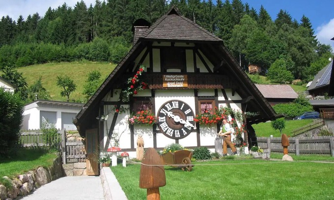 Schonach im Schwarzwald Apartment | Wellness - sport - nature vacation apartment with indoor pool and tennis court