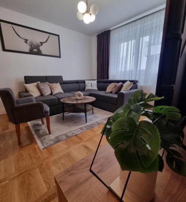 Bijeljina Apartment | Western