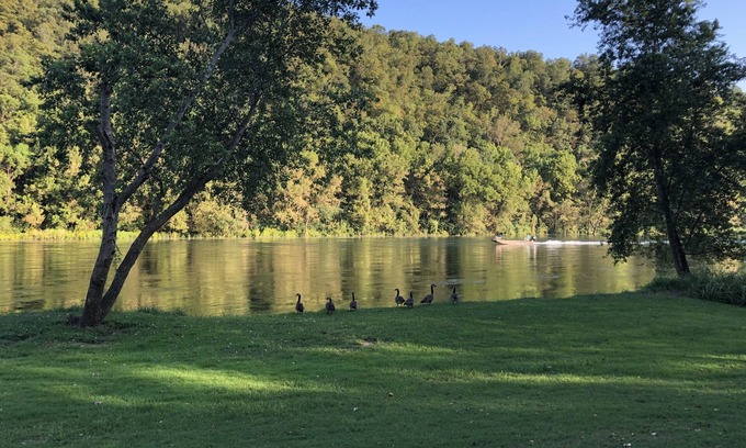Flippin Cabin | White River Fishing Lodge, Overlooking the River w/Private Landing & Boat Ramp