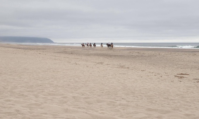 Pacific City House | With Salt, Please