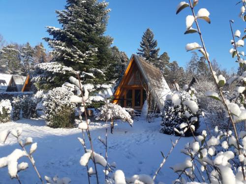 Schellbronn House | Wolfseeweg 11und Wolfseeweg 9