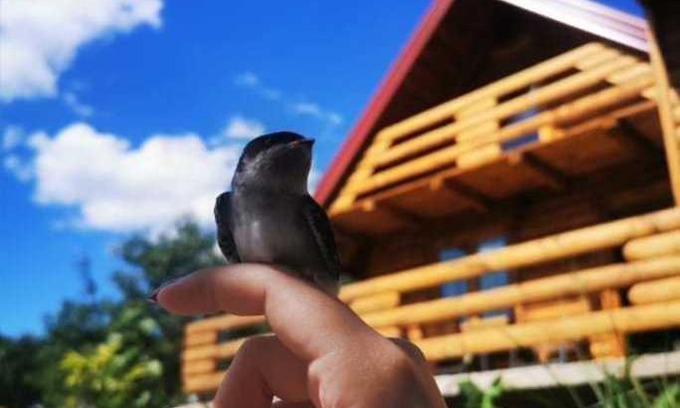 Kulen Vakuf House | Wooden House "Una"