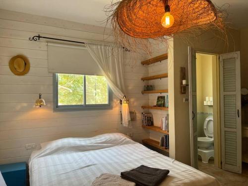 Dan House | wooden witch hut by the river