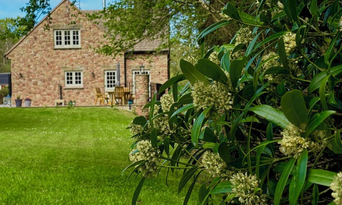 Coleford Cottage | Woodland edge retreat, with wood burning stove.