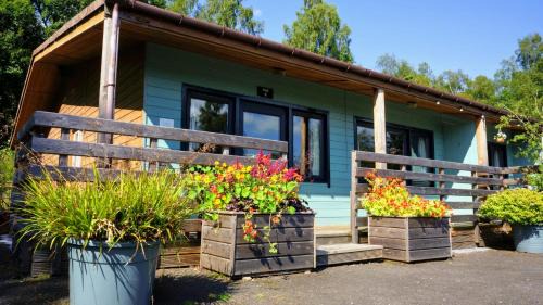 Killin Cabin | Woodland Pine Lodge