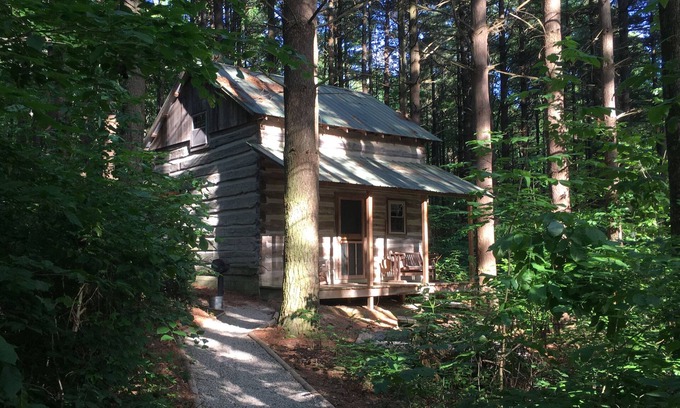 Laurelville Cabin | Woodland view-Green Log Cabin