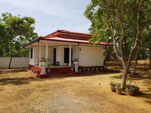 Kirinda Apartment | Yala Beach Resort Kirinda
