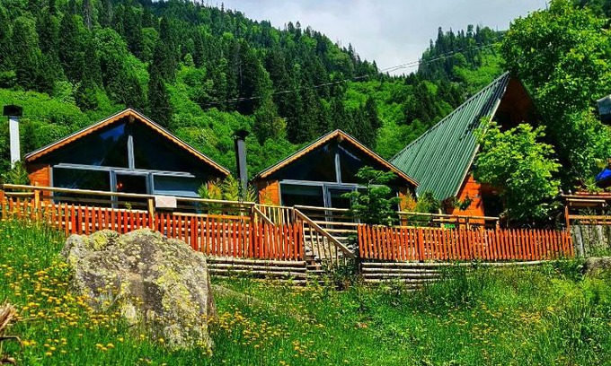Ayder Ski Chalet | Yayla Bungalov