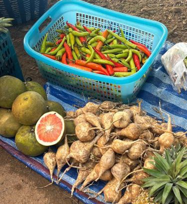 Mueang Ngai Other | Yidan Farmstay in Chiang Dao