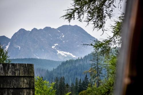 Male Ciche Bed & Breakfast | Za górami Za lasami Zakopane